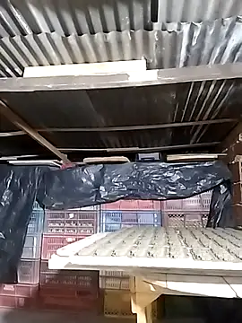 Snapshot of hoteder chatting on 12/23/25, 12:43 hoteder online show from 12/23/25, 12:43