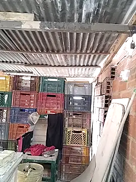 Snapshot of hoteder chatting on 02/10/26, 12:37 hoteder online show from 02/10/26, 12:37