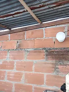 Snapshot of hoteder chatting on 01/17/26, 03:15 hoteder online show from 01/17/26, 03:15