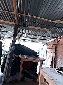 hoteder online show from 04/16/26, 02:18