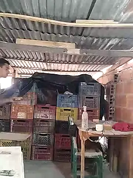 hoteder online show from 03/24/26, 12:38