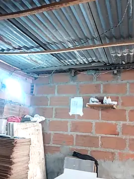 Snapshot of hoteder chatting on 12/17/25, 01:27 hoteder online show from 12/17/25, 01:27