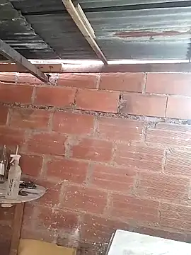 hoteder online show from 03/23/26, 12:27