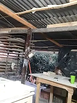 hoteder online show from 03/17/26, 11:13