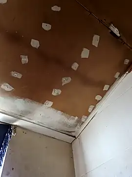 lucho2328 online show from 10/29/25, 06:29