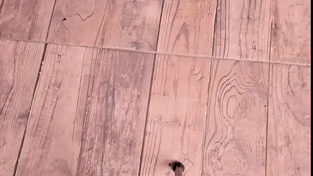 ZYZZ1312 online show from 12/19/25, 09:06