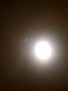 svenni2525 online show from 12/01/25, 02:34