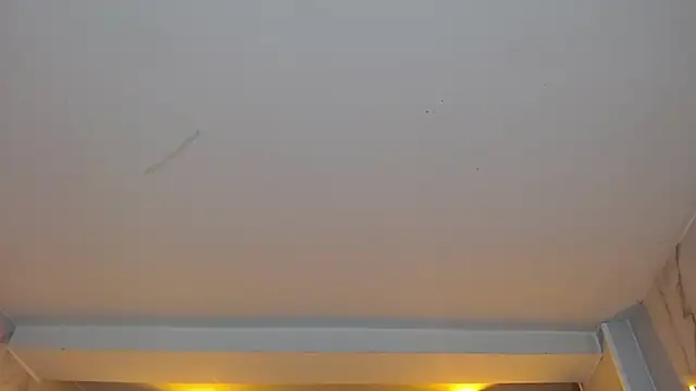 Snapshot of dania_b_ chatting on 10/19/25, 03:09 dania b online show from 10/19/25, 03:09
