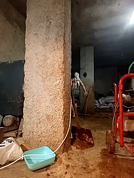 ezgi2545 online show from 03/06/26, 07:31