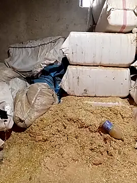 ezgi2545 online show from 04/02/26, 10:44