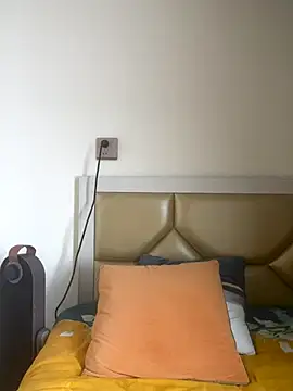 Snapshot of Mier-cn chatting on 10/30/25, 06:12 Mier-cn online show from 10/30/25, 06:12