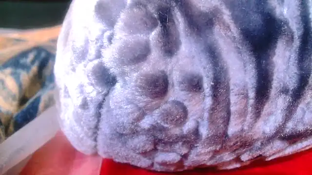 Sexy PureFire online show from 11/05/25, 03:53