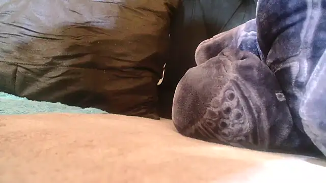 Sexy PureFire online show from 12/18/25, 07:07