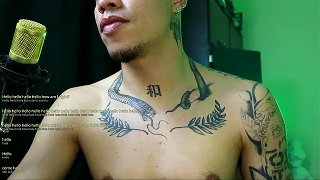 Snapshot of AlphaMasterXxx chatting on 12/02/25, 04:14 AlphaMasterXxx online show from 12/02/25, 04:14