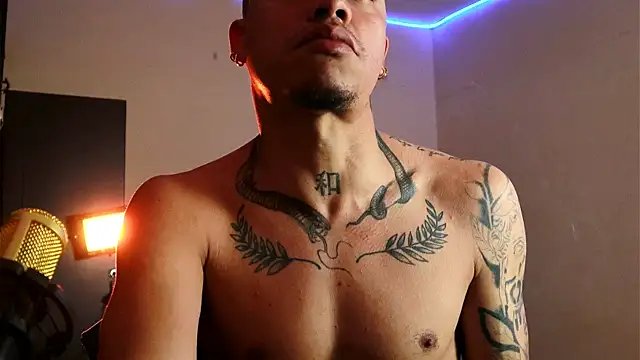 Snapshot of AlphaMasterXxx chatting on 11/17/25, 01:15 AlphaMasterXxx online show from 11/17/25, 01:15