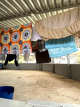 Morenocasado34liberal online show from 11/03/25, 12:31