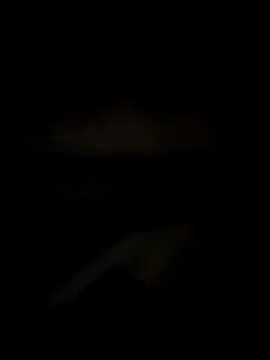 Snapshot of Lizbeth_Rouse chatting on 12/14/25, 11:16 Lizbeth Rouse online show from 12/14/25, 11:16