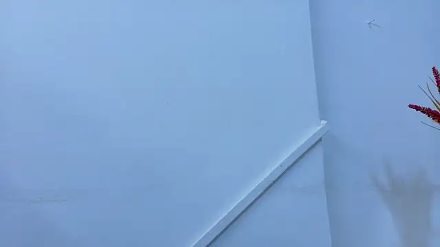 Snapshot of Lizbeth_Rouse chatting on 11/06/25, 11:25 Lizbeth Rouse online show from 11/06/25, 11:25