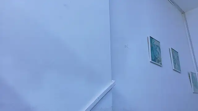 Snapshot of Lizbeth_Rouse chatting on 11/10/25, 11:37 Lizbeth Rouse online show from 11/10/25, 11:37