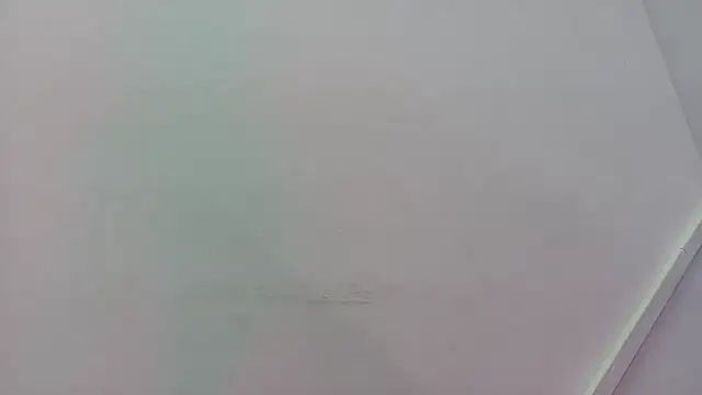 Snapshot of Lizbeth_Rouse chatting on 11/21/25, 11:31 Lizbeth Rouse online show from 11/21/25, 11:31