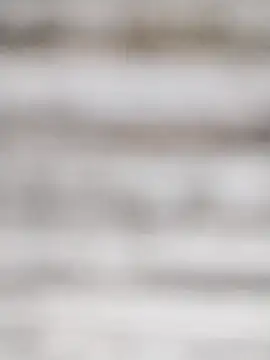 Snapshot of SweetSun69 chatting on 02/22/26, 11:23 SweetSun69 online show from 02/22/26, 11:23