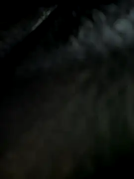  JessyRey  online show from 09/11/25, 06:46