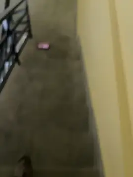 Snapshot of longfuckk chatting on 05/24/26, 11:21 longfuckk online show from 05/24/26, 11:21