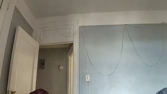 puddled wonderland online show from 10/24/25, 06:40