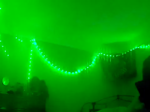 puddled wonderland online show from 11/30/25, 08:48