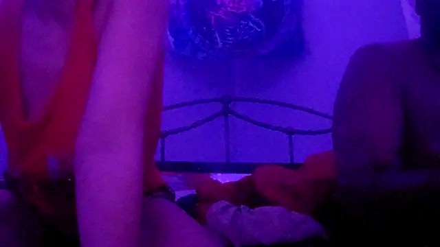 puddled wonderland online show from 11/12/25, 07:01