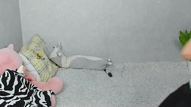 EileenMoores online show from 02/06/26, 09:11