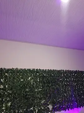 Snapshot of BellaRoux1 chatting on 02/26/26, 11:54 BellaRoux1 online show from 02/26/26, 11:54