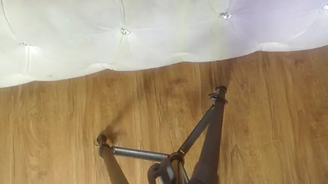 RylieRoss online show from 11/27/25, 01:33