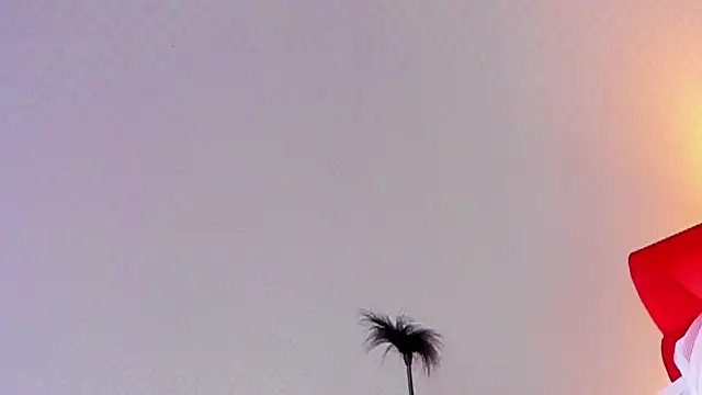 Lillie Berry online show from 10/25/25, 04:44