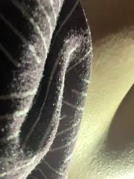 P E R V I T I N online show from 03/31/26, 11:07