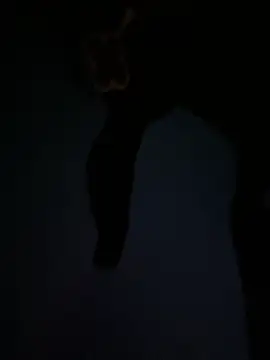 AriaBliss- online show from 02/13/26, 12:54