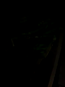 sr dias online show from 11/13/25, 08:51