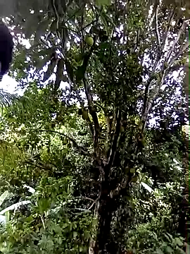 moreno25centimetro online show from 02/04/26, 02:01