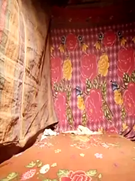 hotmomma8 online show from 11/29/25, 08:53