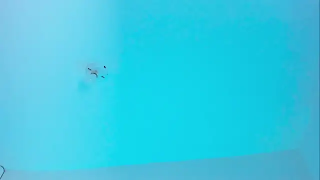 Ellope  online show from 11/19/25, 09:59