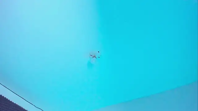 Ellope  online show from 11/14/25, 10:02