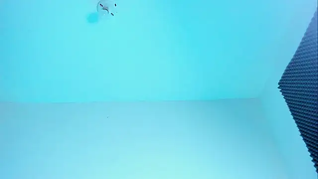 Ellope  online show from 10/21/25, 11:15