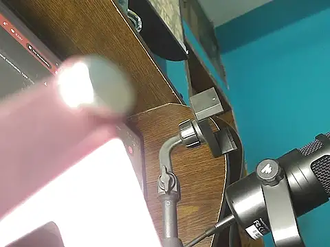 meghbalikargolponoy09 online show from 12/15/25, 04:35