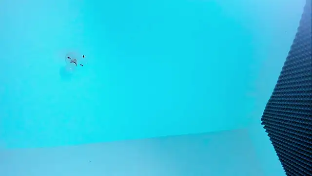 Im naho online show from 10/22/25, 11:03