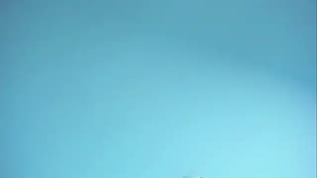 Im naho online show from 04/04/26, 10:38