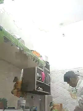 NoxiousFilename online show from 10/12/25, 02:29