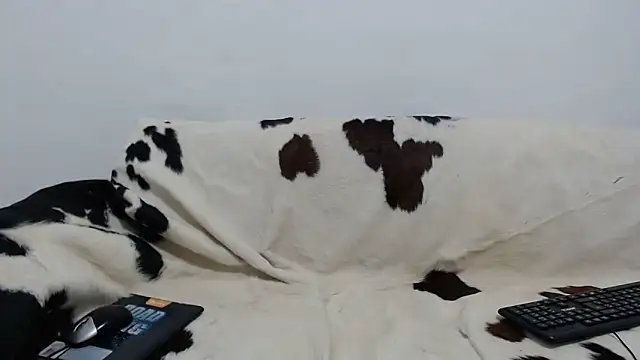 Dan jonson15 online show from 11/26/25, 05:51