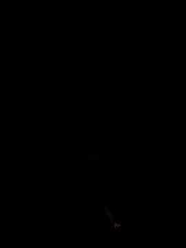 cumitted online show from 11/02/25, 02:16