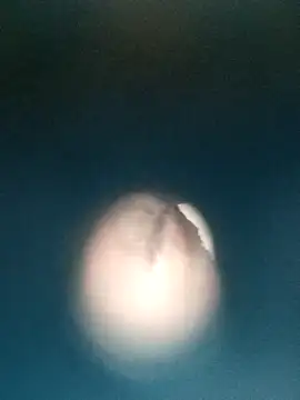 Sonya51561 online show from 12/19/25, 03:36