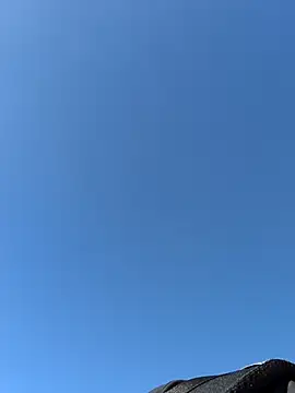 Ole Plus online show from 02/12/26, 11:43